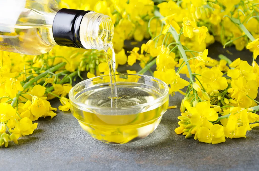 canola-oil