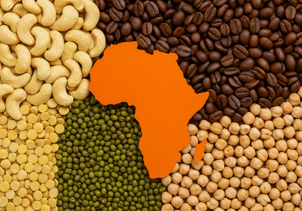 Agro-Product-Export-from-Africa-Paradise-Exim