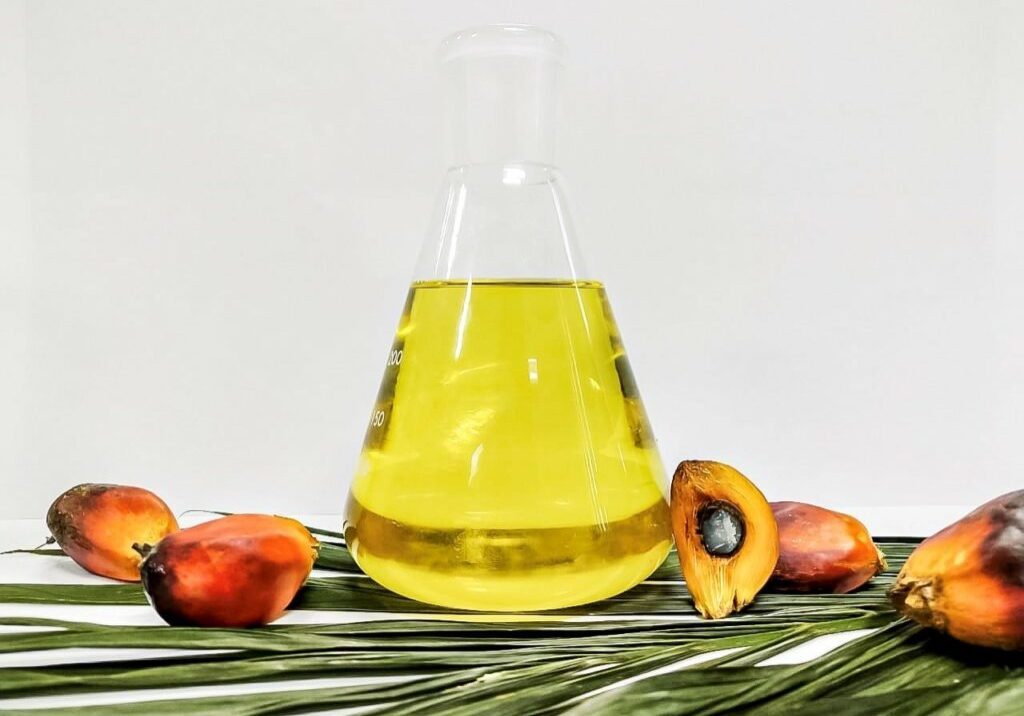 Crude-palm-kernel-oil-scaled-1-landscape-1bf1df57a257688cee53ef7da2c2107f-629b2c2581a71