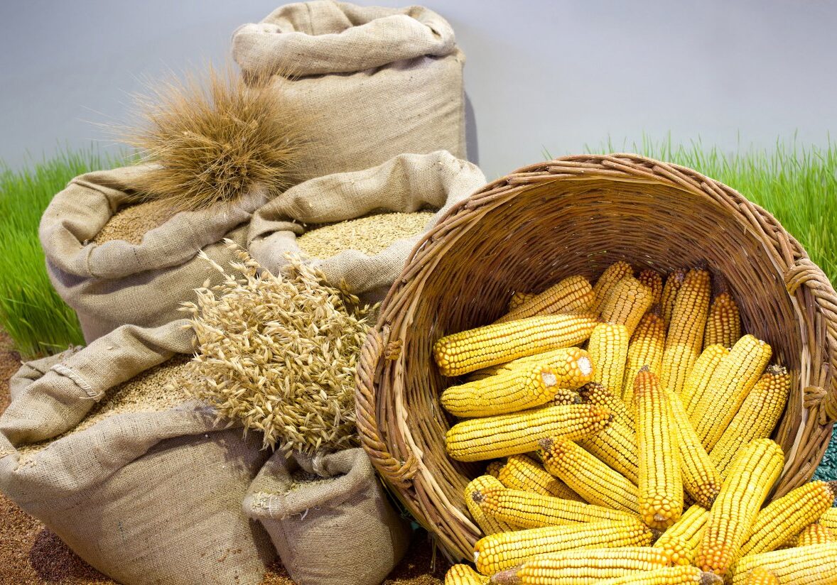 agro-products